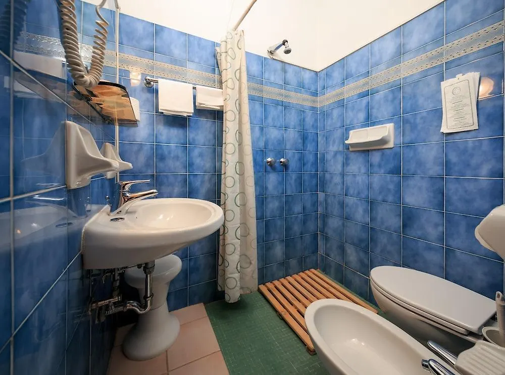 Hotel Arno Bellariva Florence 2*,